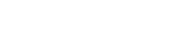 CHARTERED PROFESSIONAL ACCOUNTANT